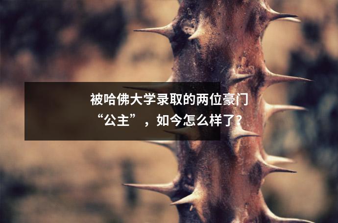 被哈佛大学录取的两位豪门“公主”,如今怎么样了?