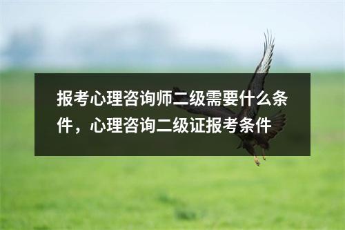 报考心理咨询师二级需要什么条件,心理咨询二级证报考条件
