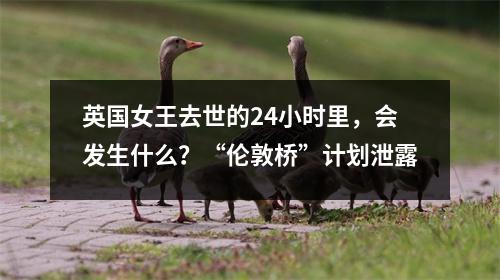 英国女王去世的24小时里,会发生什么?“伦敦桥”计划泄露