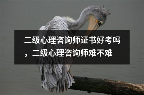 二级心理咨询师证书好考吗,二级心理咨询师难不难