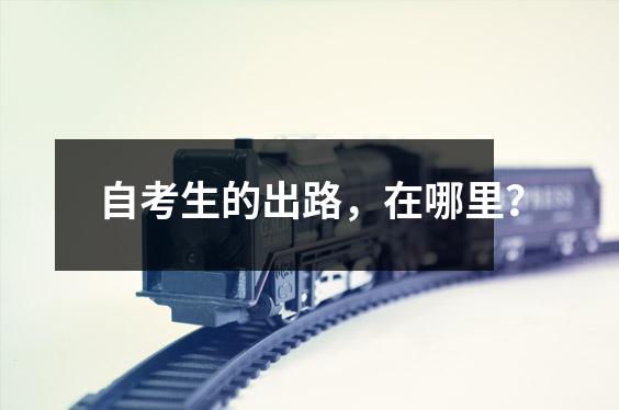 自考生的出路,在哪里?