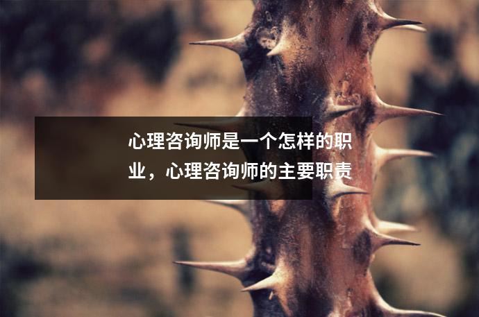 心理咨询师是一个怎样的职业,心理咨询师的主要职责