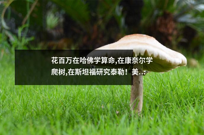 花百万在哈佛学算命,在康奈尔学爬树,在斯坦福研究泰勒!美国藤校到底在教什么啊?